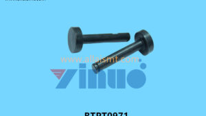 BTPT0971 Fuji Belt Pulley