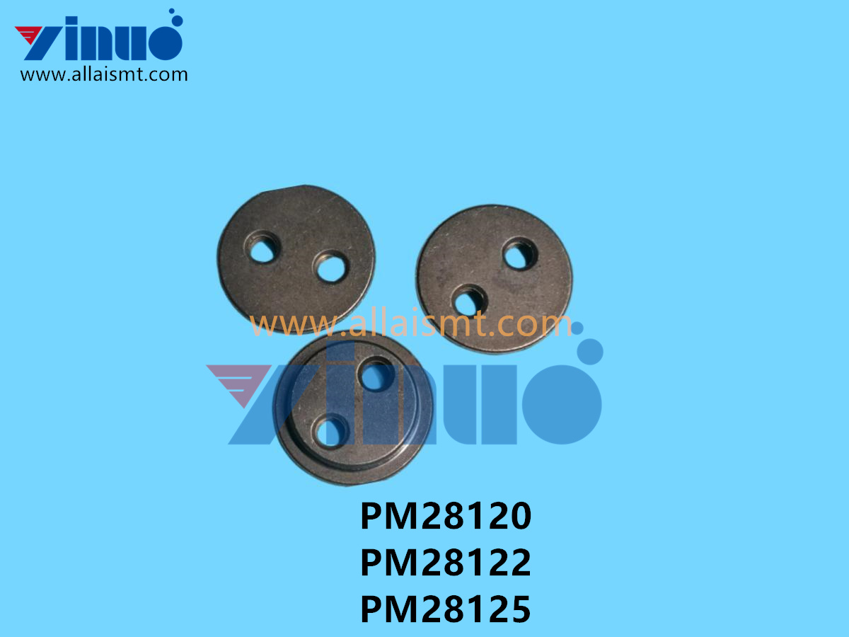 PM28120 PM28122 PM28125 NXT PIN