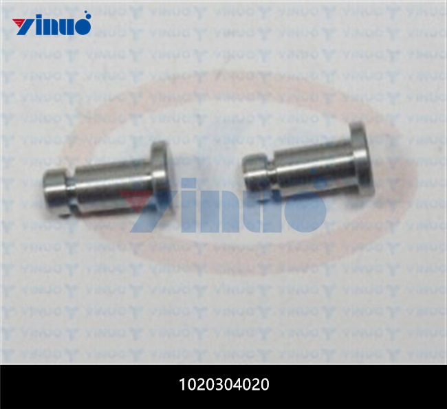 1020304020 PIN